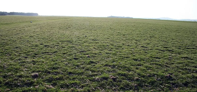 The Curragh