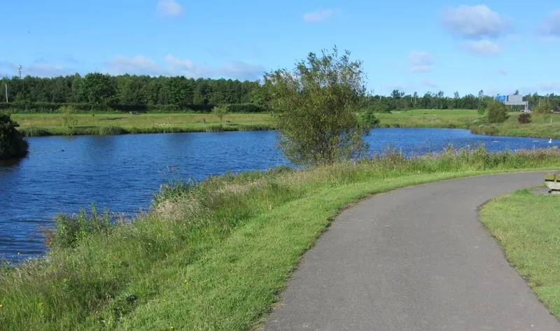 Tymon Park